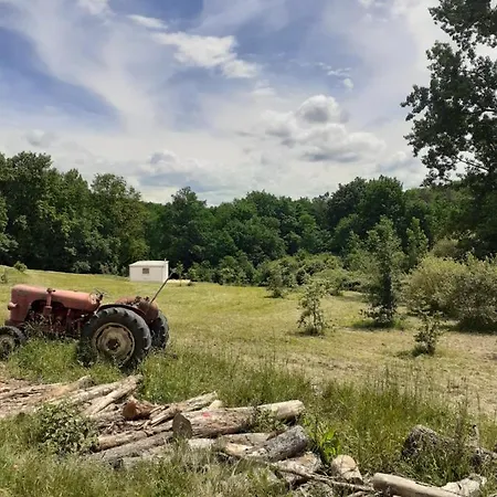 Oda ve Kahvaltı Pranayama 3*